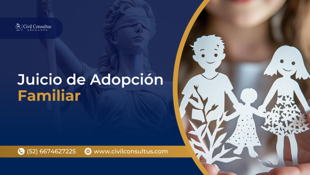 Proceso legal de adopción familiar en México, mostrando los pasos y requisitos para adoptar a un niño.